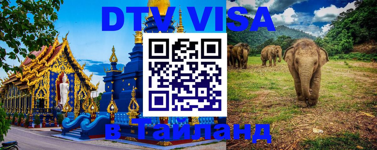 DTV виза Тайланд Волгоград 